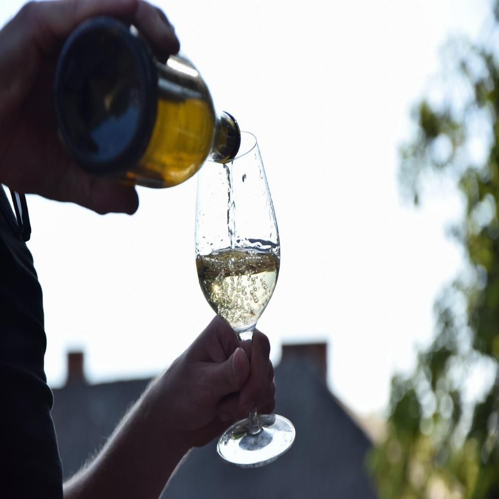 Ruta de Vinos del Empordà