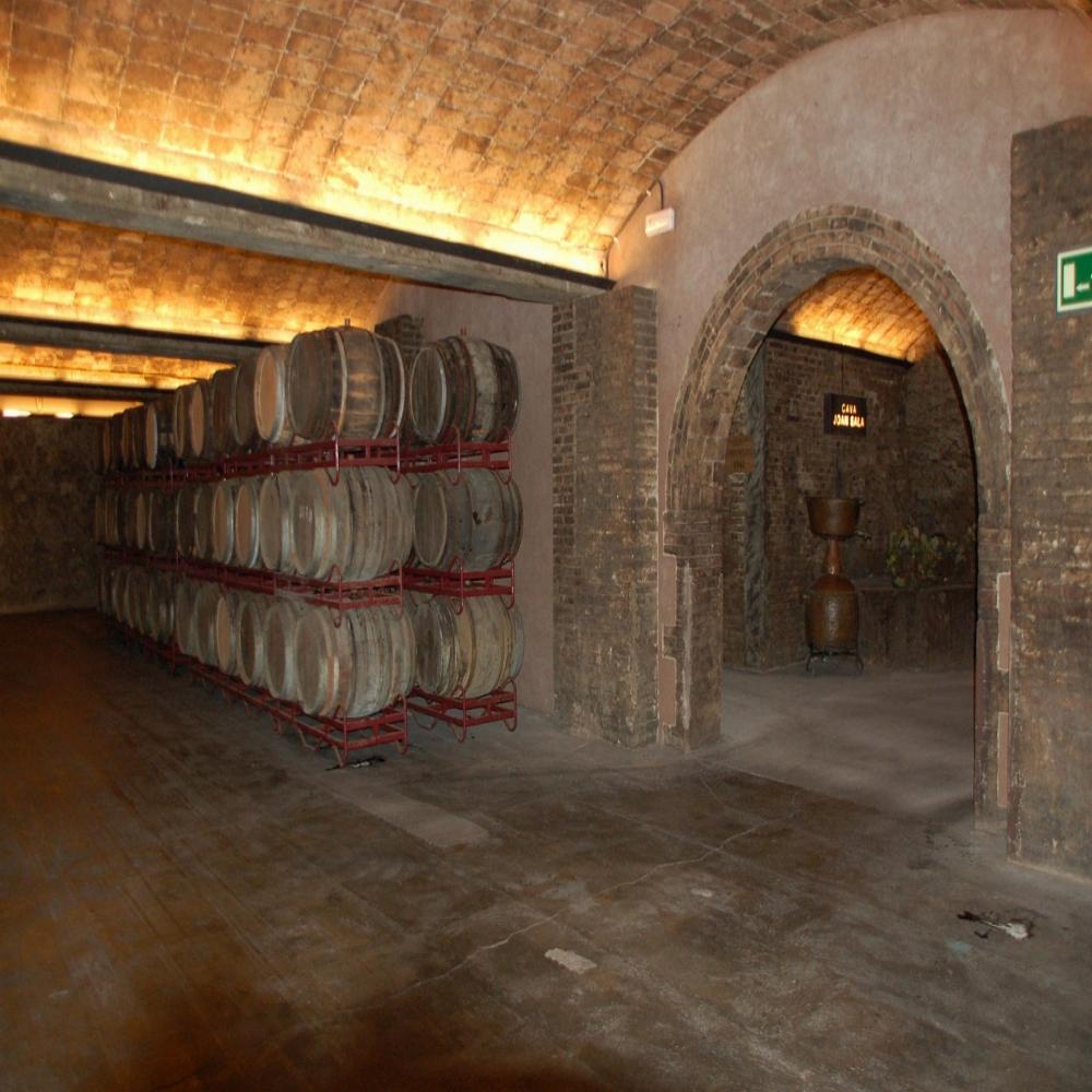 Ruta de Bodegas en el Priorat